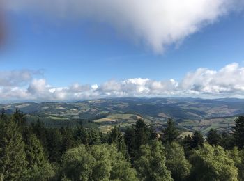 Excursión Senderismo Violay - ViIOLAY  