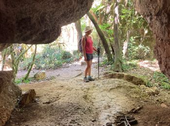 Randonnée Marche Berrias-et-Casteljau - Le bois de Païolive - Photo