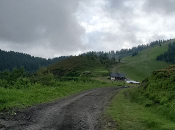 Tocht Stappen Praz-sur-Arly - Torraz christomet 928m 18kms  - Photo