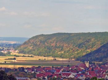 Tour Zu Fuß Stettfeld - Lauftour STE1 - Photo