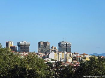 Trail On foot Campolide - Volta do Planalto - Photo