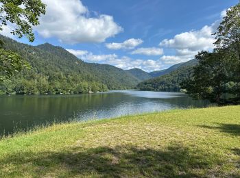 Randonnée Marche Kruth - Schlossberg Wildenstein 2,9 km - Photo