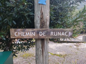 Tocht Stappen Ax-les-Thermes - Chemin de Runac - Photo