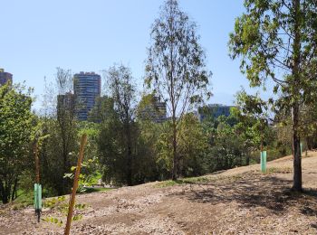 Trail Walking Vitacura - Parque Bicentenario - Photo