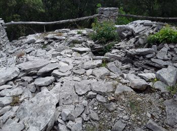 Tour Wandern Ferrières-les-Verreries - Ferrięre les verrerie aller retour  - Photo