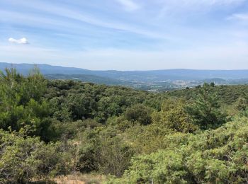 Trail Walking Villars - Haut des Grands Clément  - Photo