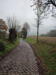 Excursión Senderismo Kluisbergen - Kwaremont - Photo