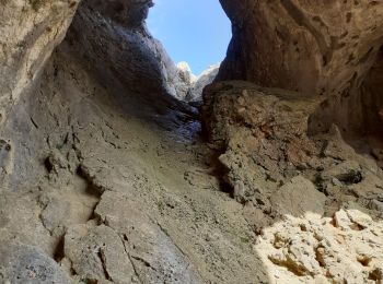 Tocht Stappen Saint-Antonin-sur-Bayon - La Ste Victoire - Photo