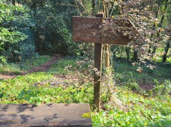 Trail Walking Sucé-sur-Erdre - Ganuchaud  - Photo