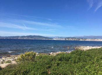 Randonnée Marche Cannes - Île Ste Marguerite - Photo