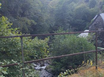 Trail Walking Saint-Chély-d'Aubrac - Compostelle / Chemin du Puy : de Aubrac à Bonneval - Photo