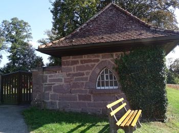 Tocht Te voet Bad Teinach-Zavelstein - Alte Steige - Mittelbach - Photo