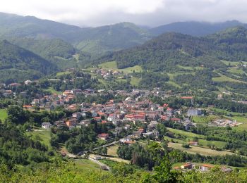 Tour Zu Fuß Berceto - Il Poggio - Lago Bozzo - Monte Borgognone - Photo