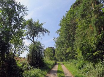 Randonnée A pied Eltmann - Lauftour ELT3 - Photo