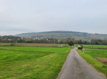 Randonnée Marche Fossoy - Fossoy du 05-11-2024 - Photo