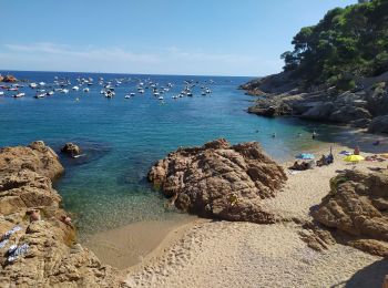 Tocht Stappen Palafrugell - Tamaris / Cap de Bisbe - Photo