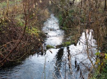 Tocht Te voet Hussigny-Godbrange - Sentier de la Moulaine - Photo