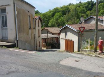 Excursión A pie Châteldon - Du Vauziron à la Chasserelle - Photo