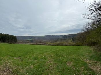 Tocht Noords wandelen Vianden - Gr5 E2 de  Vianden à Dasbourg Pont - Photo