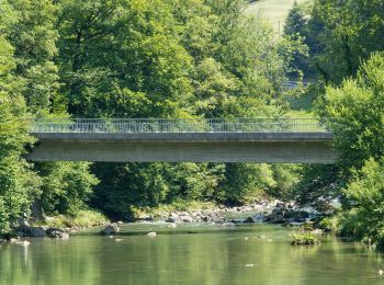 Trail On foot Wädenswil - Hütten - Finsterseebrugg - fixme - Photo