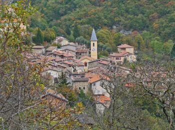 Tocht Te voet Moulinet - Baisse de Peira Cava - Photo