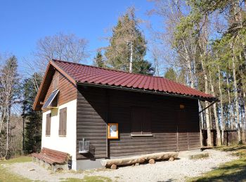 Tocht Te voet Albstadt - Querweg des Schwäbischen Albvereins (rote Raute) - Photo