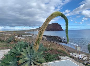 Tour Wandern Granadilla de Abona - Granadilla de Abona_ Réserve et Montana Roja - Photo