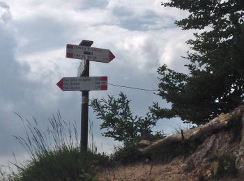 Percorso A piedi Selva di Progno - Giazza - Malga Fraselle - Passo Ristele - Photo