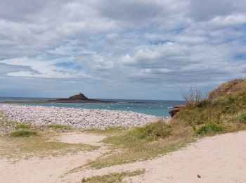 Trail Walking Erquy - VARIANTE SUR LE CIRCUIT DE L'  ILOT ST MICHEL ET DES MOULINS - Photo