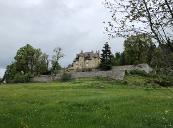 Tocht Stappen Chauchailles - Chauchailles à Termes - Photo