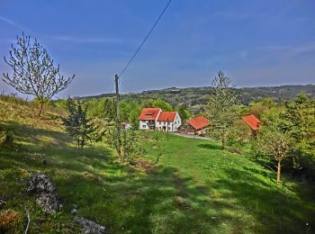 Tocht Te voet Pottenstein - Rundweg Püttlach-Ruppertshöhe - Photo