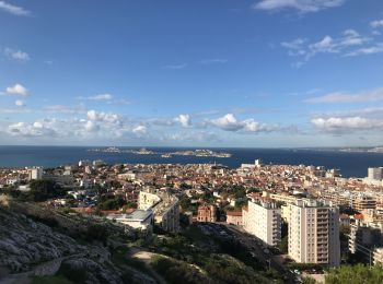 Randonnée Marche Marseille - Sofitel notre dame retour par la cote - Photo