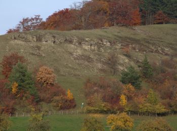 Tocht Te voet Schlüchtern - BUND-Schlüchtern-Rundweg - Hauptroute - Photo