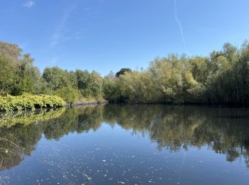 Excursión Senderismo Tubize - De Halle à Tubize par la campagne  - Photo