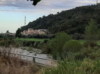 Tour Zu Fuß Albisola Superiore - Luceto - Pian del Pero - Luceto - Photo