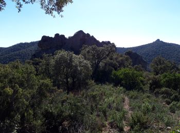 Excursión Senderismo Pierrefeu-du-Var - Pierrefeu-la citadelle-17-02-21 - Photo