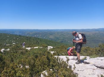 Tocht Stappen Gorniès - la seŕanne - Photo