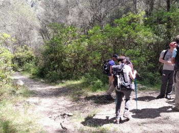 Trail Walking La Penne-sur-Huveaune - La Penne vers la Barasse - Photo