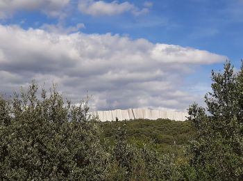 Trail Walking Vallon-Pont-d'Arc - Les balcons de l ibie 10/10/19 - Photo