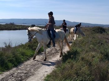 Tocht Hybride fiets Villeneuve-lès-Maguelone - Villeneuve les Magdelonnes - Photo