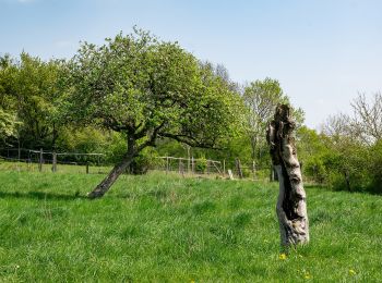 Randonnée A pied Schlangen - Rundwanderweg A2 [Langes Tal] - Photo