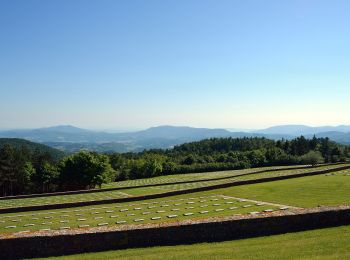 Tour Zu Fuß Barberino di Mugello - Sorgenti di Firenze Trekking – Anello 12: Alle sorgenti dell’acqua Panna - Photo