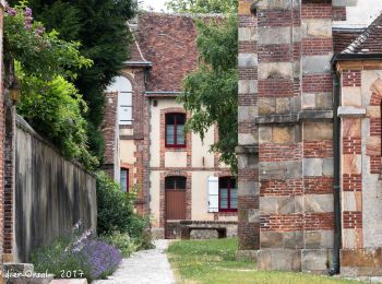 Randonnée Marche La Ferté-Vidame - La Ferté-Vidame - Senonches 17 km - Photo