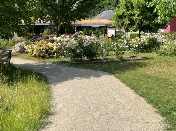 Trail Walking Differdange - Lasauvage 19-06-2023 - Photo