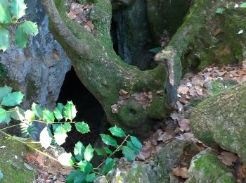 Randonnée Marche Solliès-Toucas - les Morieres  Plateau de Signes - Photo