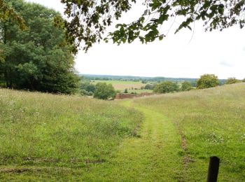 Randonnée Marche Belforêt-en-Perche - la perrière par la forêt  - Photo