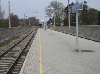 Percorso A piedi Sconosciuto - Dirnelwiesenweg - Photo