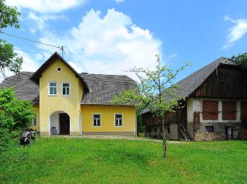 Excursión A pie Schiefling am Wörthersee - Hafnersee - Roda - Photo