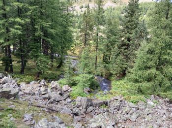 Tocht Stappen Entraunes - Cirque de la Sanguinière, 05-09-2024 - Photo