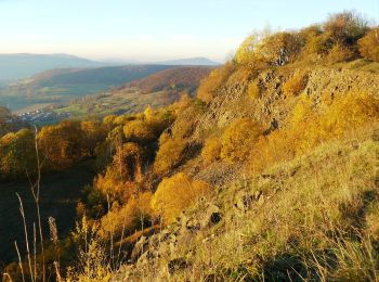 Randonnée A pied Kaltennordheim - Feldatalrundweg - Photo